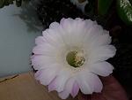     
: 20200809_102245.jpg
: 12
:	66.4 
ID:	13384485