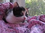     
: IMG_0612.jpg
: 43
:	177.7 
ID:	13385435