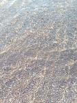     
: IMG_20200812_065919.jpg
: 25
:	203.4 
ID:	13385710