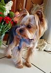     
: IMG_20200729_065627.jpg
: 27
:	74.3 
ID:	13385727