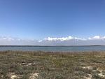     
: IMG_1586.jpg
: 14
:	154.6 
ID:	13386550
