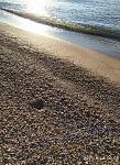     
: IMG_20200814_071103.jpg
: 13
:	272.6 
ID:	13386700