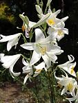     
: 2292_39375_rsz.jpg
: 9
:	17.3 
ID:	13389491