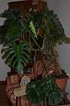     
: DSC_0876.jpg
: 7
:	81.1 
ID:	13390232