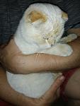     
: IMG-c45f61266b577f95b19d643371cb61ca-V.jpg
: 27
:	63.7 
ID:	13390620