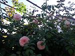     
: 20200824_091615.jpg
: 19
:	195.2 
ID:	13391532