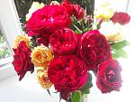     
: 20200825_103213.jpg
: 10
:	134.7 
ID:	13391533