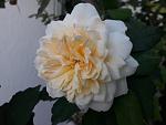     
: 20200824_091752.jpg
: 8
:	66.9 
ID:	13391534