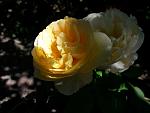     
: 20200824_113022.jpg
: 12
:	65.5 
ID:	13391536