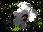     
: 20200824_091814.jpg
: 9
:	106.9 
ID:	13391537