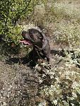     
: IMG-ecdf098751455ce14457e07bfaddb9a4-V.jpg
: 37
:	228.1 
ID:	13392162