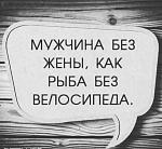     
: .JPG
: 19
:	63.1 
ID:	13392665
