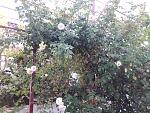     
: 20200829_090728.jpg
: 5
:	292.1 
ID:	13392852