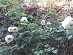     
: 20200829_091408.jpg
: 7
:	202.7 
ID:	13392853
