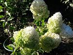     
: 20200829_175743.jpg
: 4
:	186.9 
ID:	13392931