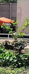     
: IMG_20200829_235933.jpg
: 11
:	78.2 
ID:	13392958