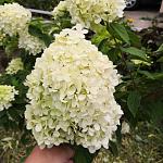     
: IMG-7f6449ed4a8e94cc8310a731fe737237-V.jpg
: 9
:	117.7 
ID:	13392960