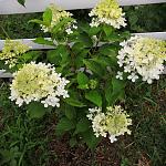     
: IMG-19ff3315c15311a4fb5d56c899f6698f-V.jpg
: 10
:	180.8 
ID:	13392961