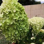     
: IMG-b1e657523e69fefd9bb1e1d1d400e98d-V.jpg
: 10
:	74.5 
ID:	13392963