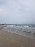     
: 20200905_104151.jpg
: 29
:	55.0 
ID:	13395611