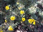     
: 20200913_095009.jpg
: 15
:	251.2 
ID:	13399102