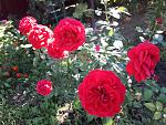     
: 20200913_095327.jpg
: 13
:	176.6 
ID:	13399105