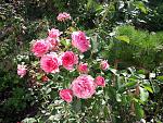    
: 20200913_100059.jpg
: 13
:	256.2 
ID:	13399109