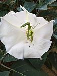     
: IMG_20200803_195008.jpg
: 12
:	63.1 
ID:	13399228