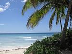     
: IMG_0275.jpg
: 80
:	228.8 
ID:	1340044