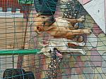     
: IMG_20200915_183154.jpg
: 30
:	226.3 
ID:	13400976