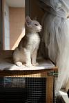     
: DSCF1887.jpg
: 9
:	72.4 
ID:	13401175