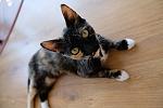     
: DSCF1997.jpg
: 7
:	72.7 
ID:	13401207