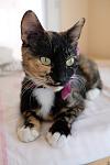     
: DSCF2060.jpg
: 7
:	49.0 
ID:	13401208