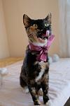     
: DSCF2077.jpg
: 7
:	45.4 
ID:	13401209