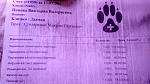    
: IMG_20200921_133234.jpg
: 29
:	102.1 
ID:	13402071