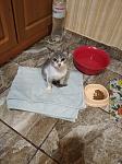     
: IMG_20200921_215945.jpg
: 16
:	112.4 
ID:	13402295
