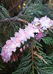     
: IMG_20200918_152620.jpg
: 11
:	126.4 
ID:	13402792