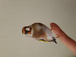     
: 20200925_111941.jpg
: 54
:	46.7 
ID:	13403880