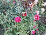     
: 20200919_184111.jpg
: 6
:	228.7 
ID:	13403990
