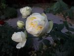     
: 20200919_184516.jpg
: 6
:	74.7 
ID:	13403994