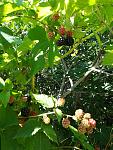     
: IMG_20200803_162659.jpg
: 12
:	157.2 
ID:	13404138