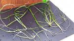     
: 20200923_091332.jpg
: 18
:	155.3 
ID:	13404193