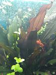     
: 2020-09-21 06.22.50.jpg
: 8
:	86.5 
ID:	13404325