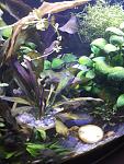     
: 2020-09-21 06.29.19.jpg
: 6
:	108.2 
ID:	13404328