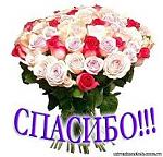     
: images (1).jpg
: 22
:	12.1 
ID:	13404793