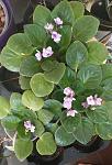     
: IMG_20200928_112010.jpg
: 10
:	99.5 
ID:	13405181