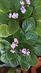     
: IMG_20200928_112057.jpg
: 9
:	86.5 
ID:	13405183