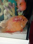     
: P00930-100347.jpg
: 18
:	56.0 
ID:	13406014