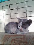     
: 120281736_3404663242927680_7764929562540659758_n.jpg
: 12
:	120.7 
ID:	13406763