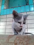     
: 120406679_3404673616259976_562398421524943_n.jpg
: 13
:	132.4 
ID:	13406765